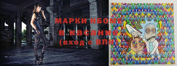 сатива Зерноград